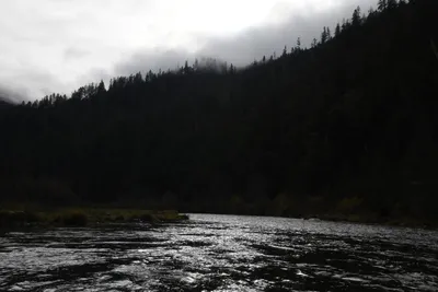 DSC_0184 (Large).JPG